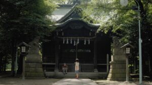 アナログ坊やとおたずね老婆